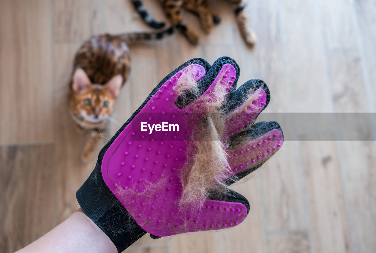 pink, purple, one person, spring, women, indoors, adult, hand, child, fashion accessory, pattern, wood, focus on foreground, lifestyles, holding, violet, art, childhood, female, animal, close-up, animal themes, hardwood floor, finger