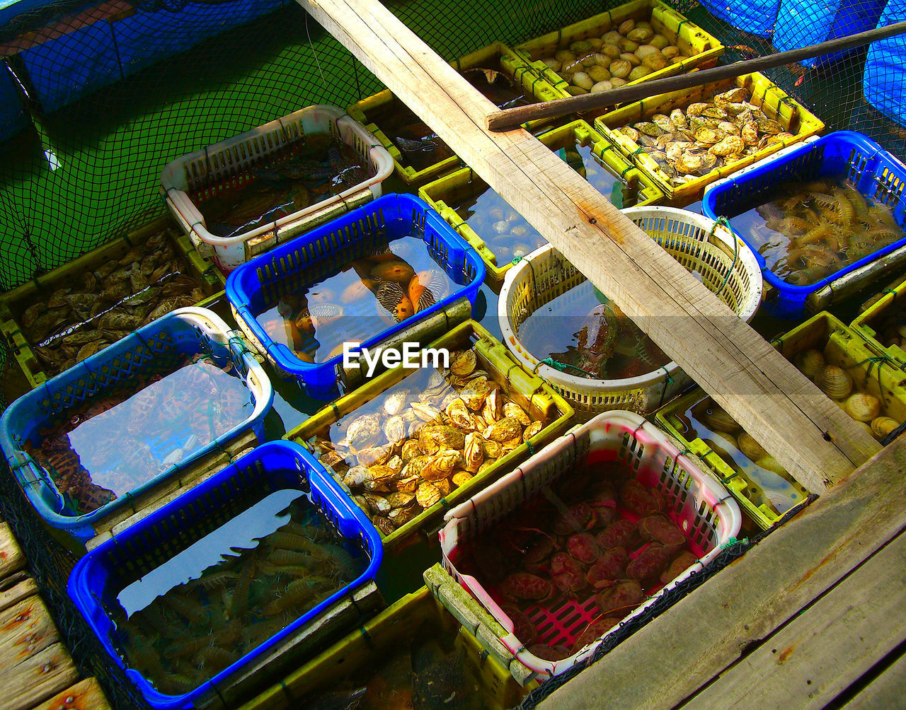 HIGH ANGLE VIEW OF VEGETABLES IN MARKET