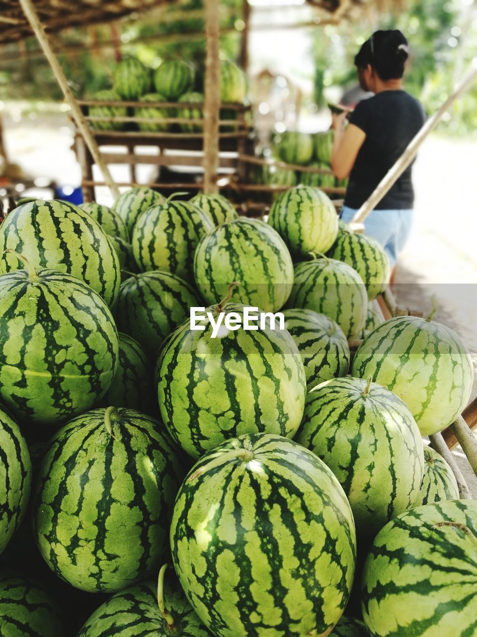 Watermelons for sale at market stall