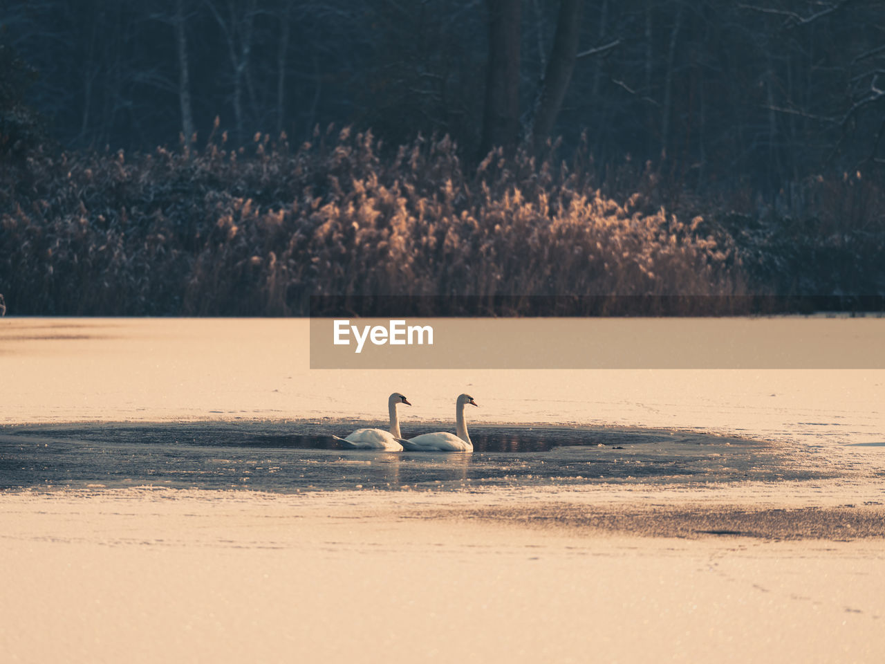 Scenic view of a frozen lake