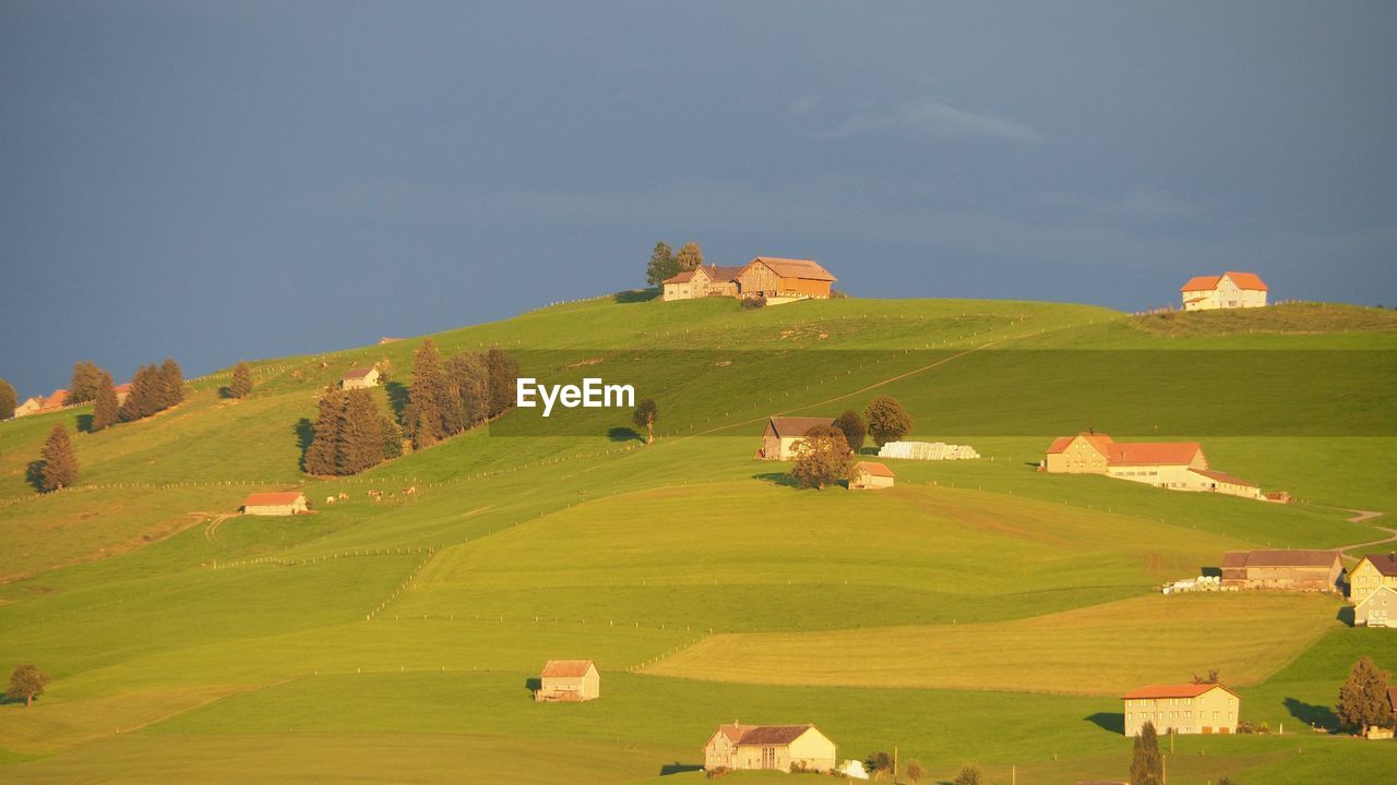 Scenic view of agricultural field against sky