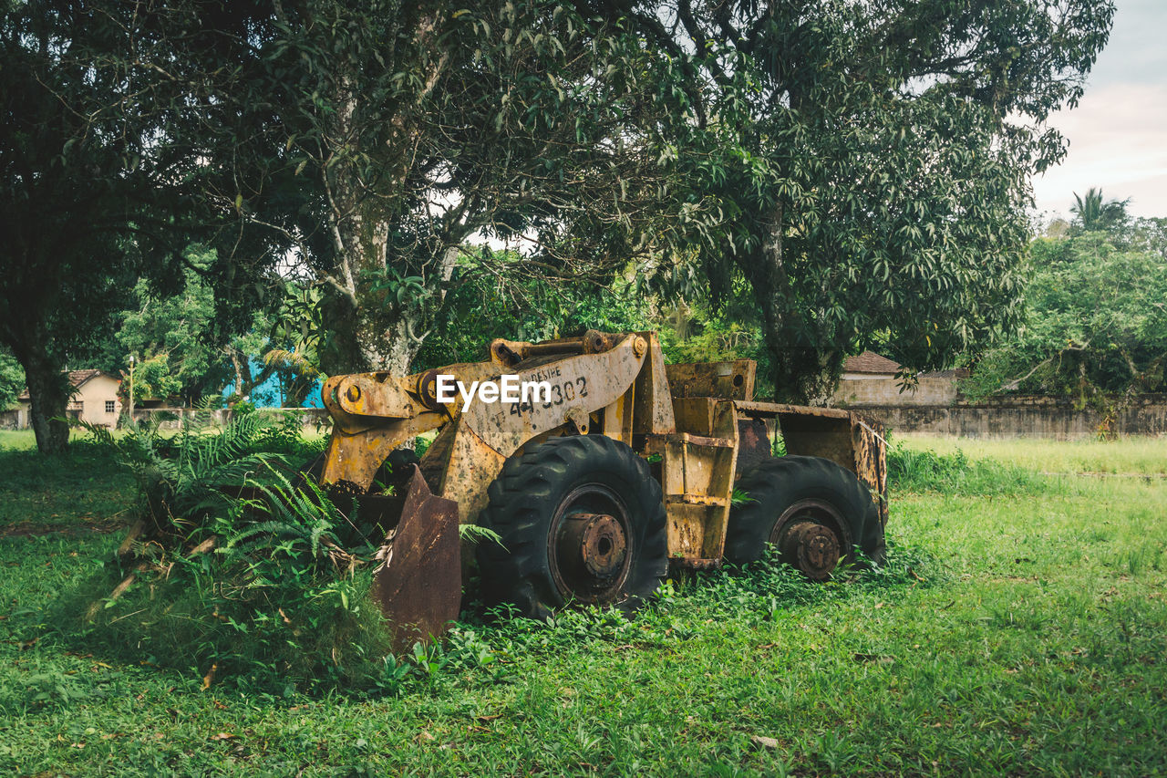 Close-up of abandoned excavator next to a tree standing on grass