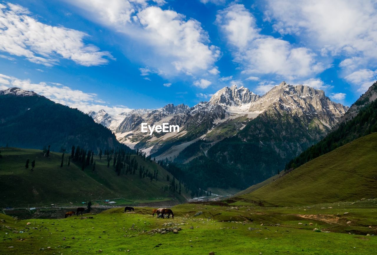 Beautiful mountain landscape of sonamarg, jammu and kashmir state, india