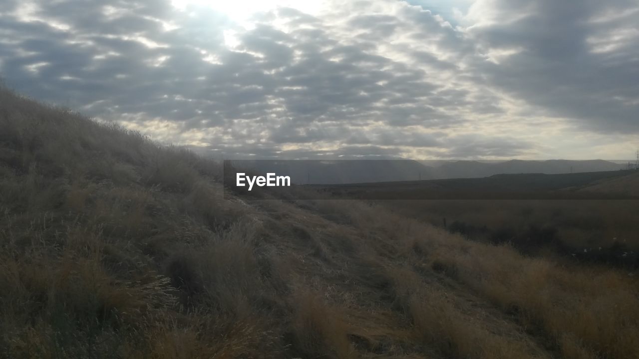 LANDSCAPE AGAINST SKY