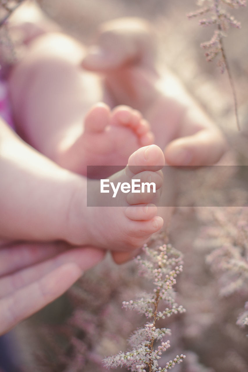 Close up barefooted newborn concept photo