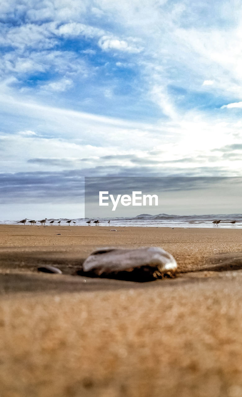 SURFACE LEVEL VIEW OF A BEACH