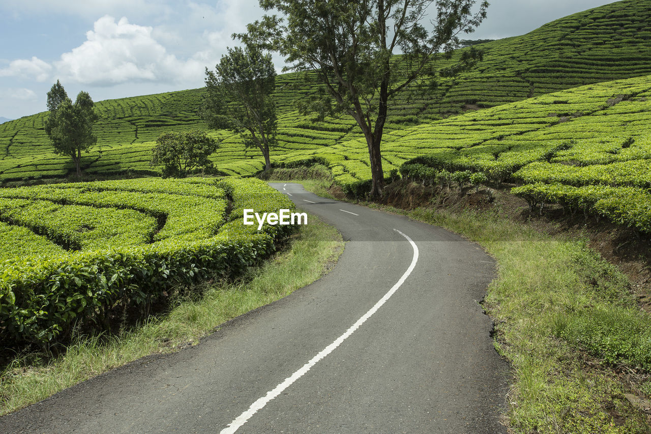 Road amidst field against sky