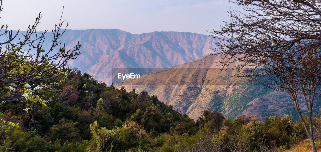 tree, mountain, plant, nature, wilderness, scenics - nature, beauty in nature, environment, landscape, land, autumn, sky, mountain range, forest, no people, pinaceae, travel destinations, pine tree, coniferous tree, travel, non-urban scene, outdoors, tranquility, pine woodland, tourism, tranquil scene, ridge, rock, day, leaf, park