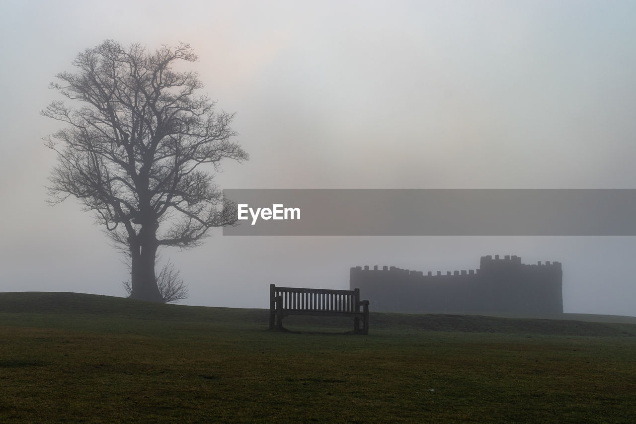 Trees on field against sky during foggy weather