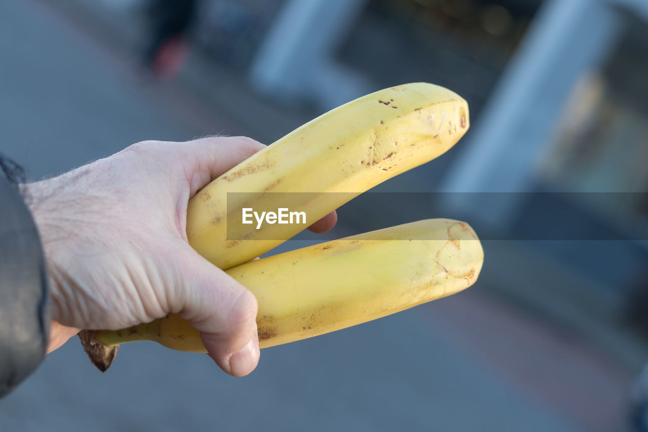 Male hand holding two bananas