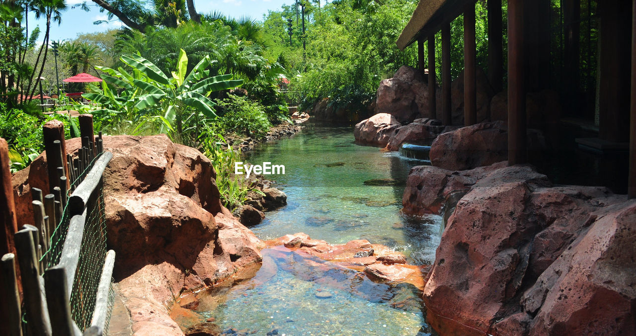 Scenic view of rocks in forest