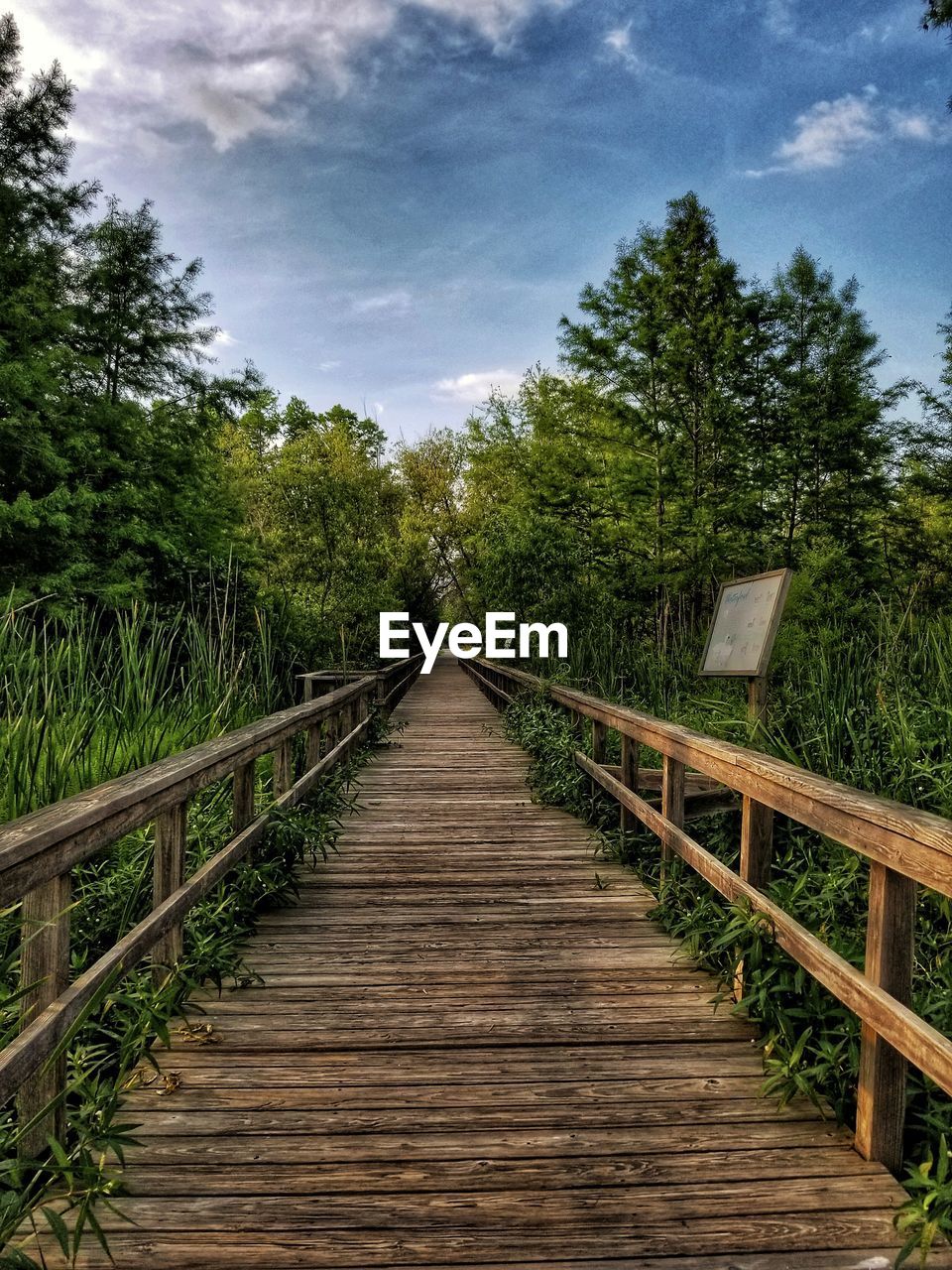 Diminishing perspective of wooden walkway amidst trees against sky