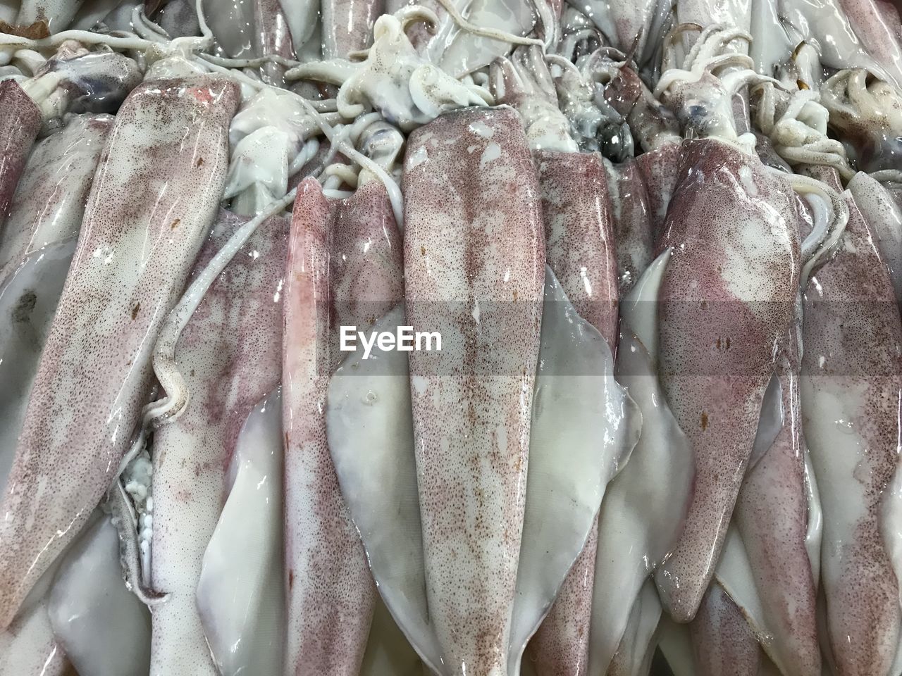 CLOSE-UP OF FISH FOR SALE IN MARKET