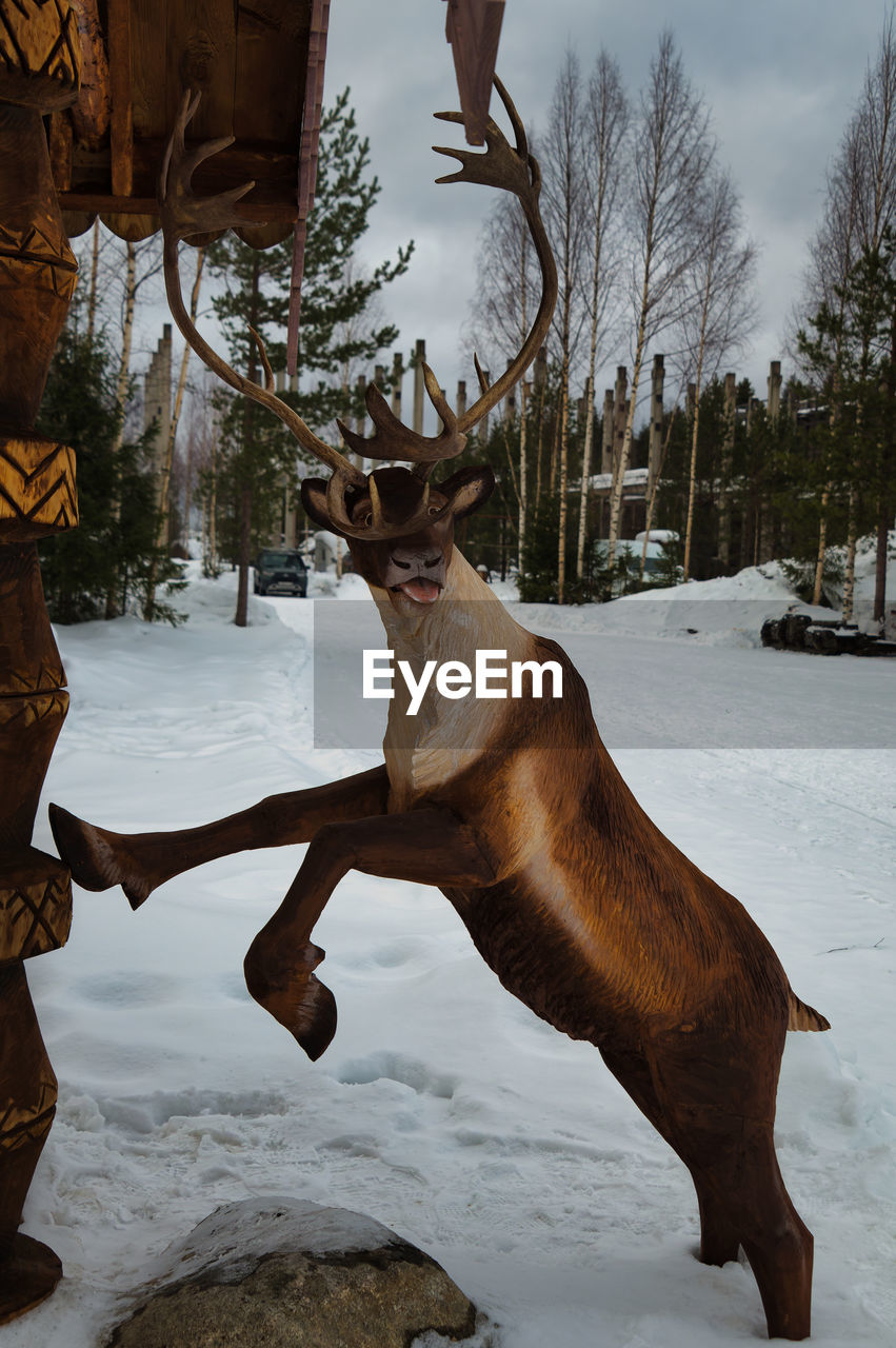 winter, snow, tree, cold temperature, animal, nature, sculpture, deer, animal themes, mammal, one animal, art, plant, no people, statue, animal wildlife, outdoors, day