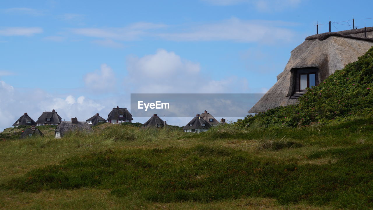 Traditional houses on grassy field in sylt at schleswig-holstein