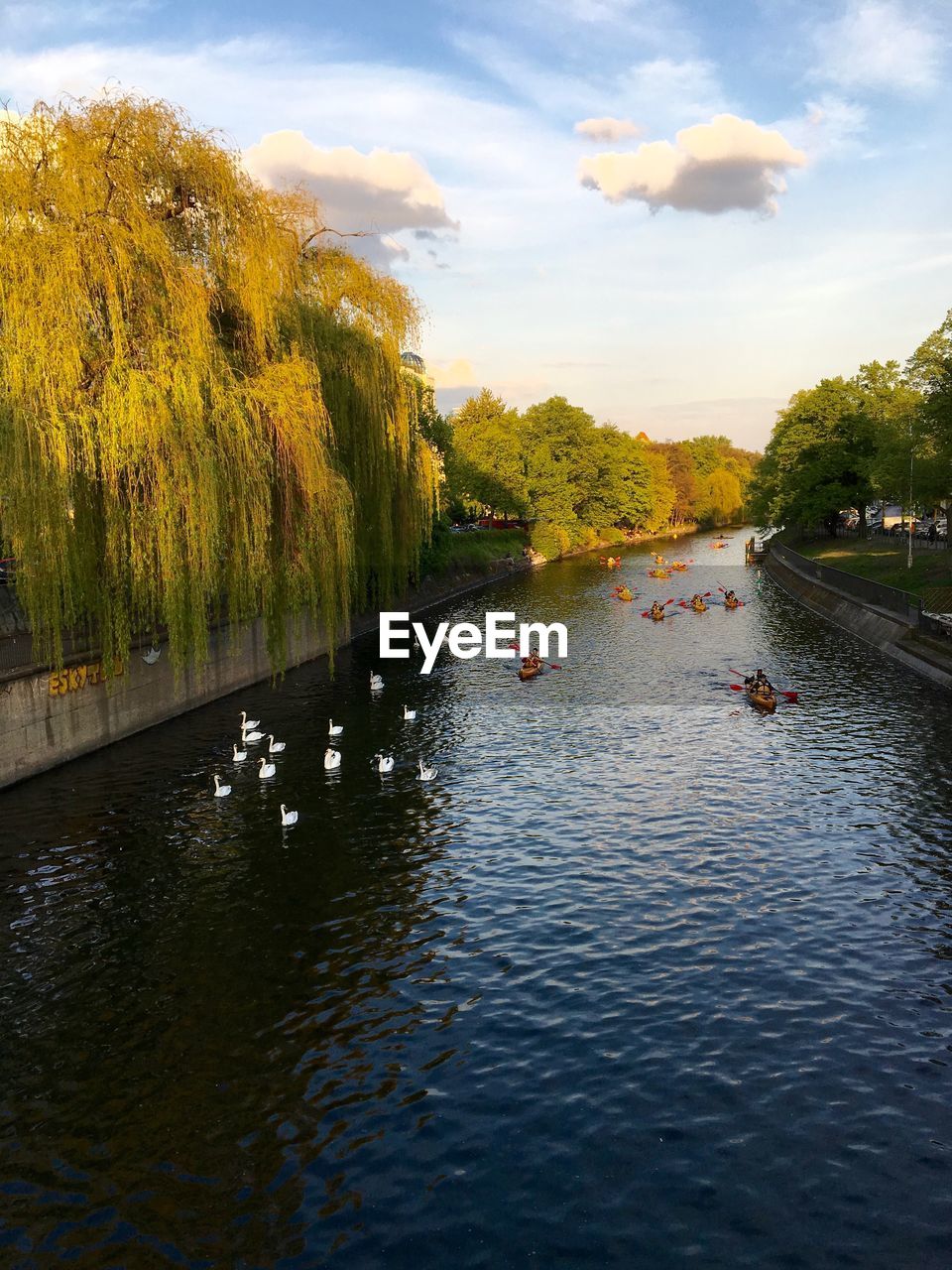 SWAN SWIMMING ON RIVER AGAINST SKY