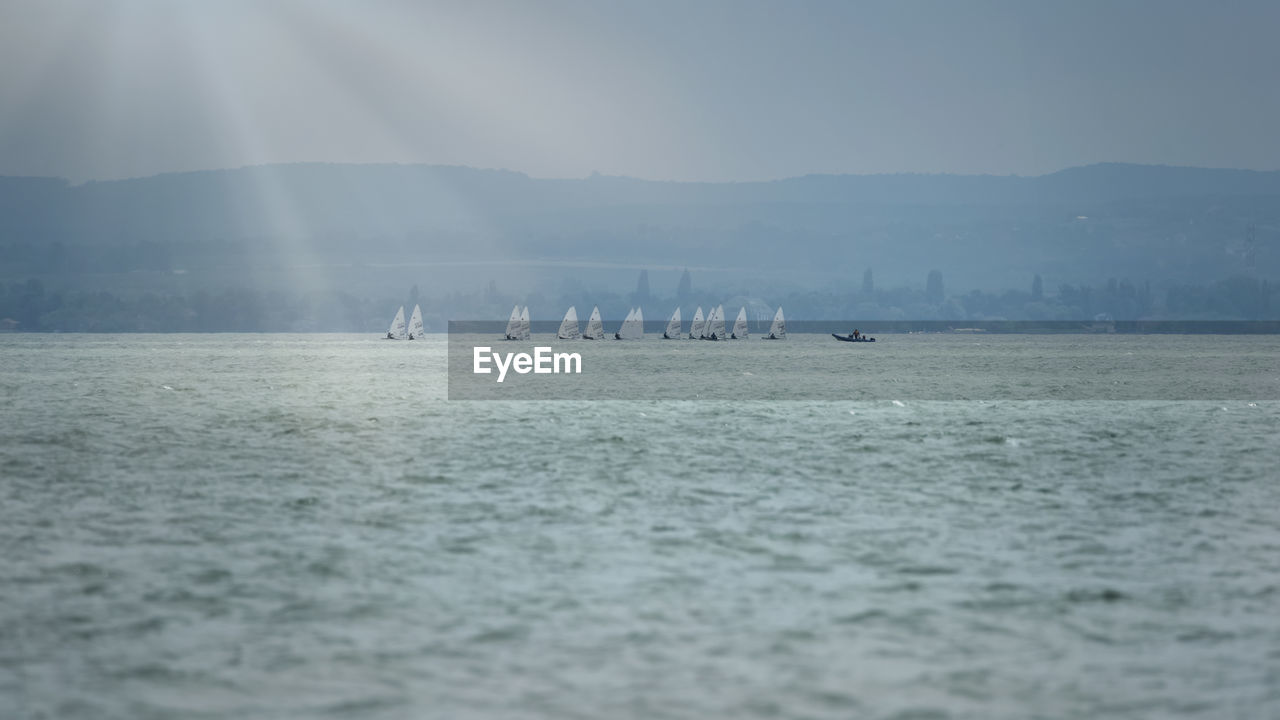 VIEW OF BIRDS IN SEA AGAINST SKY