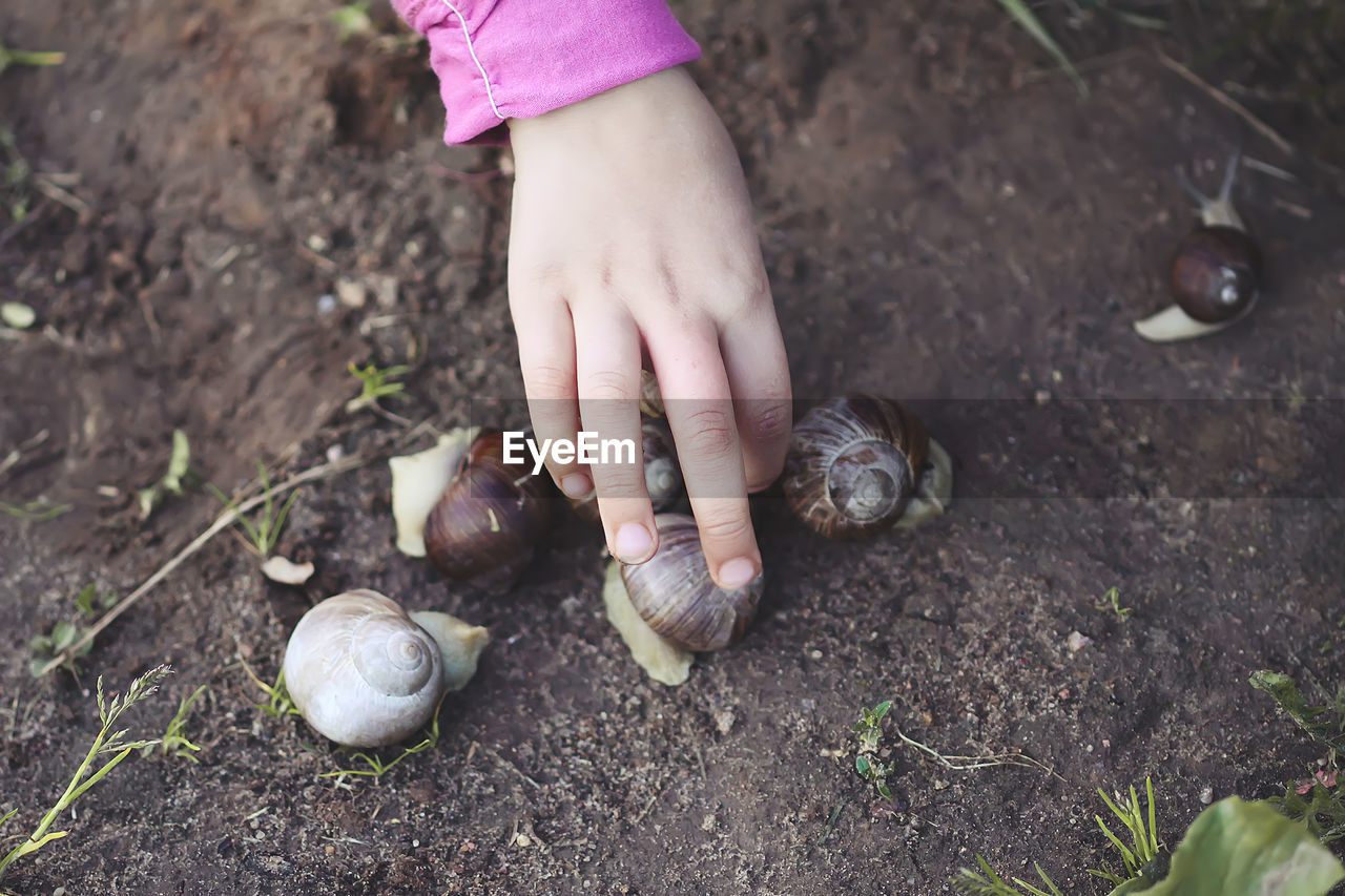 Child touching little snail crowling in summer park