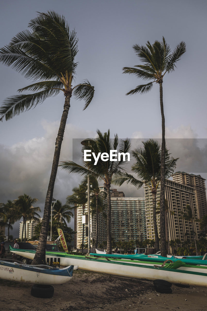 PALM TREES ON SWIMMING POOL AGAINST SKY