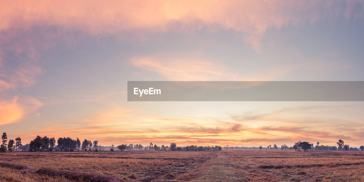 SCENIC VIEW OF FIELD AGAINST SKY AT SUNSET