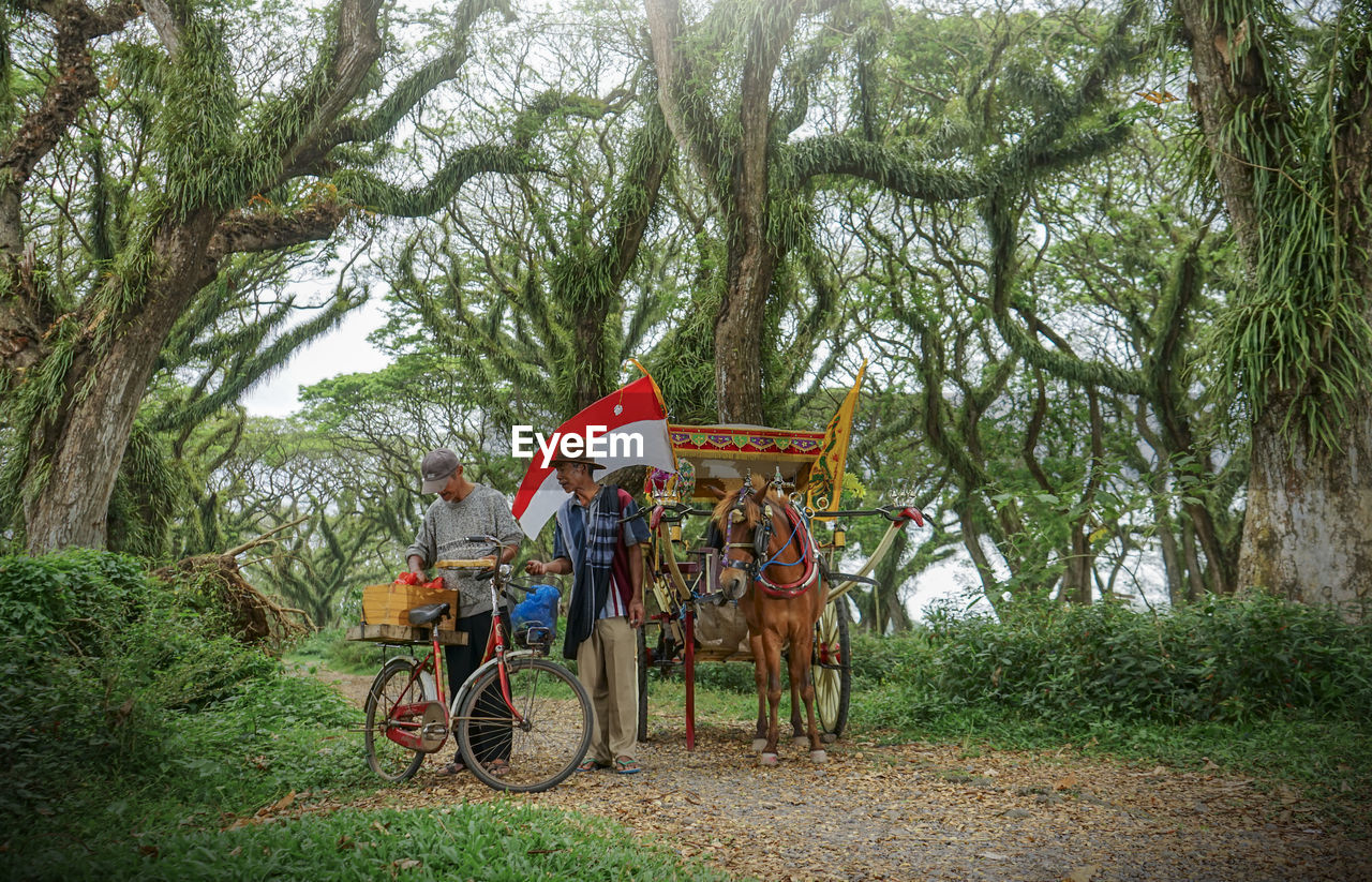 BICYCLES PARKED ON TREE TRUNK