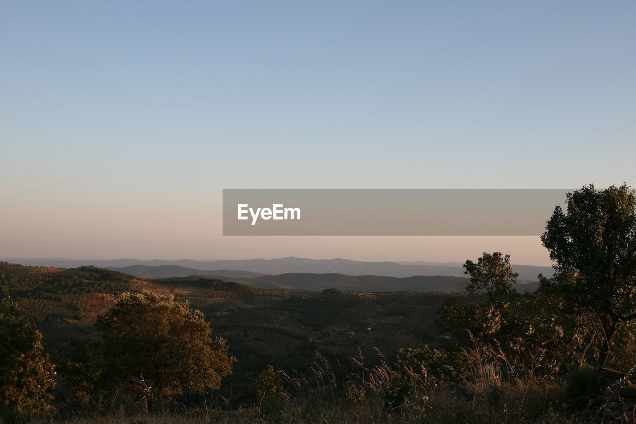 SCENIC VIEW OF LANDSCAPE AGAINST CLEAR SKY