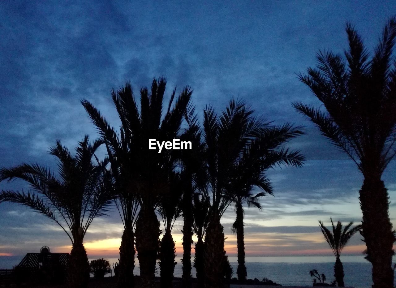 SILHOUETTE PALM TREES BY SEA AGAINST SKY