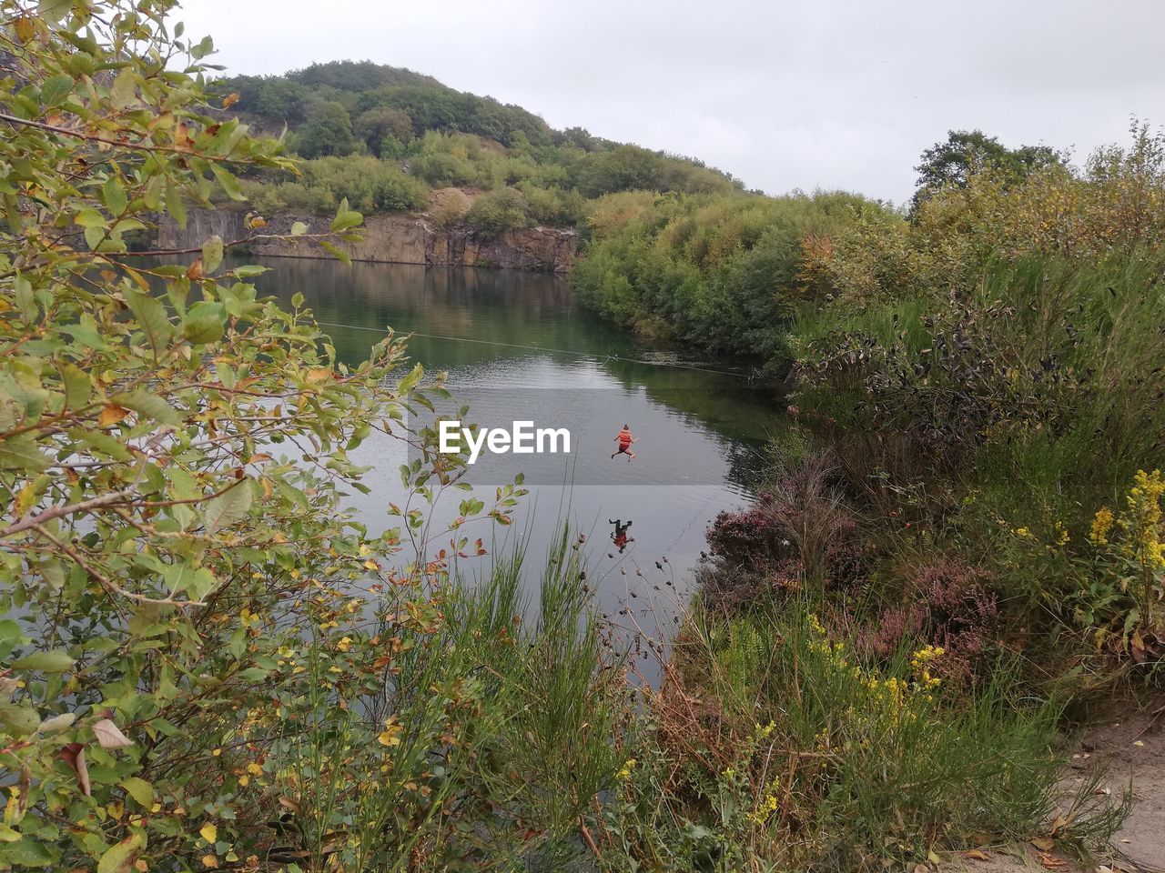 SCENIC VIEW OF LAKE BY TREES AGAINST SKY