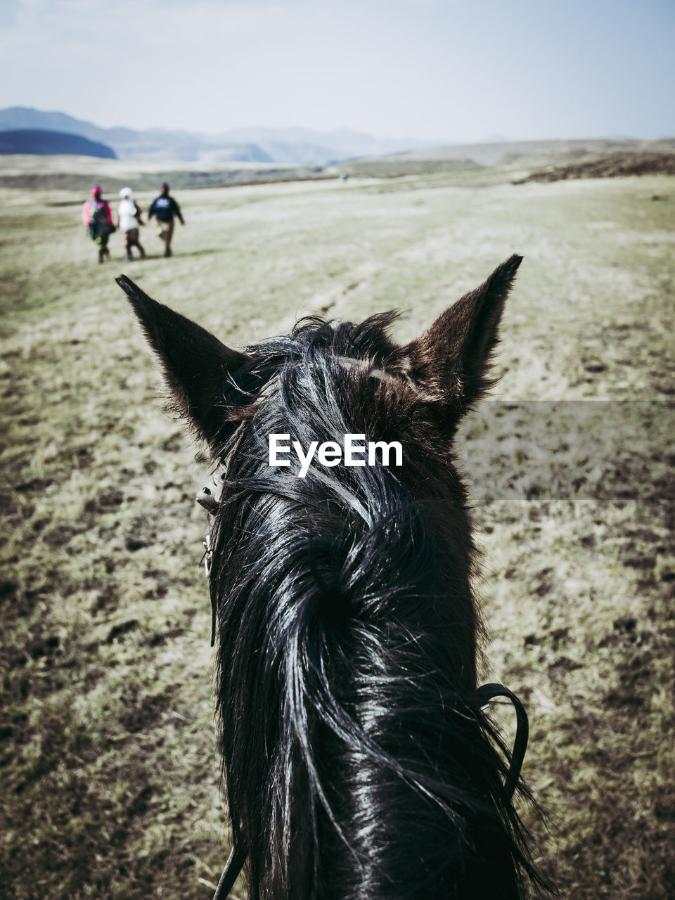 Personal perspective of horseback riding in lesotho