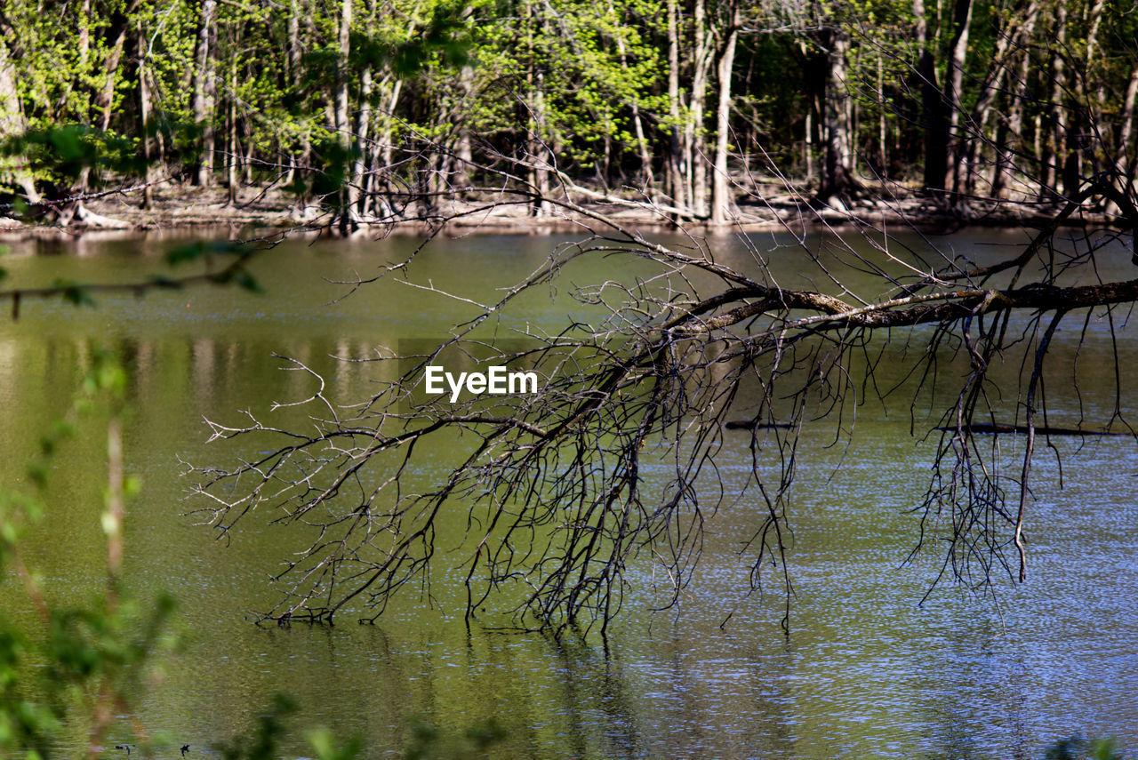 Scenic view of lake