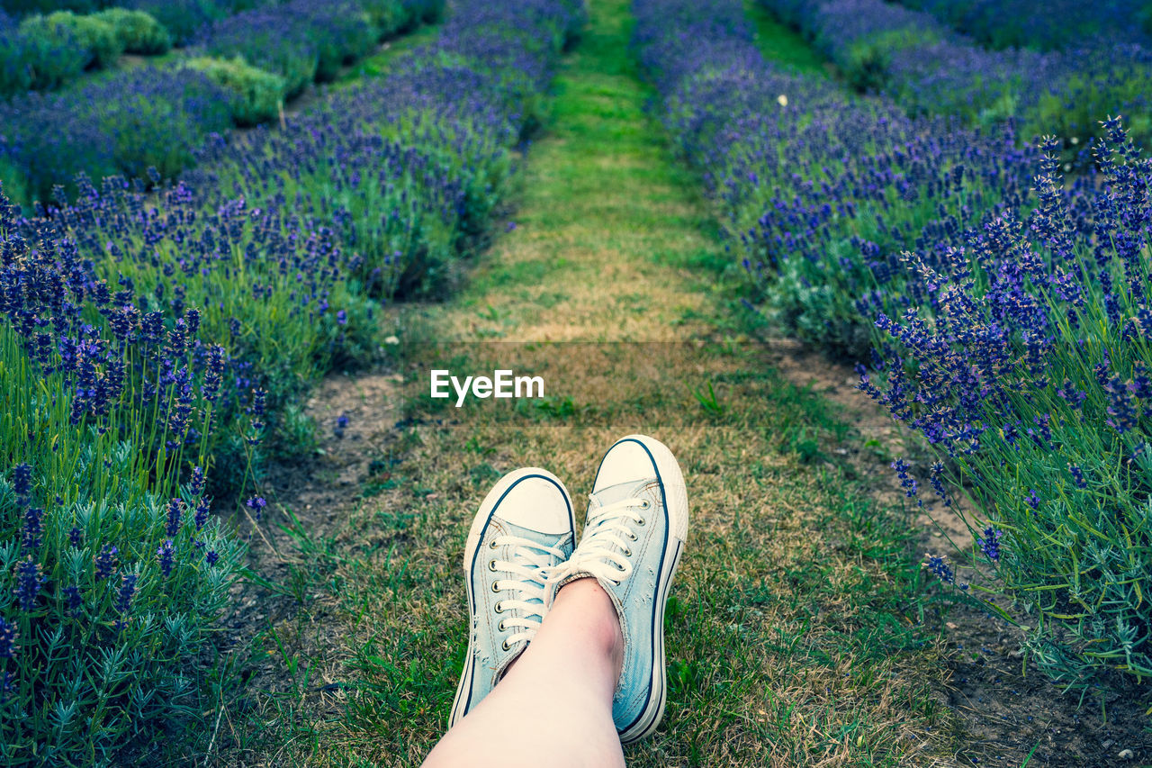 Low section of woman wearing shoes sitting on field