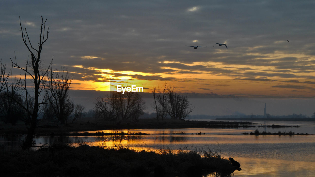 SILHOUETTE OF BIRD FLYING OVER LAKE AGAINST SUNSET SKY