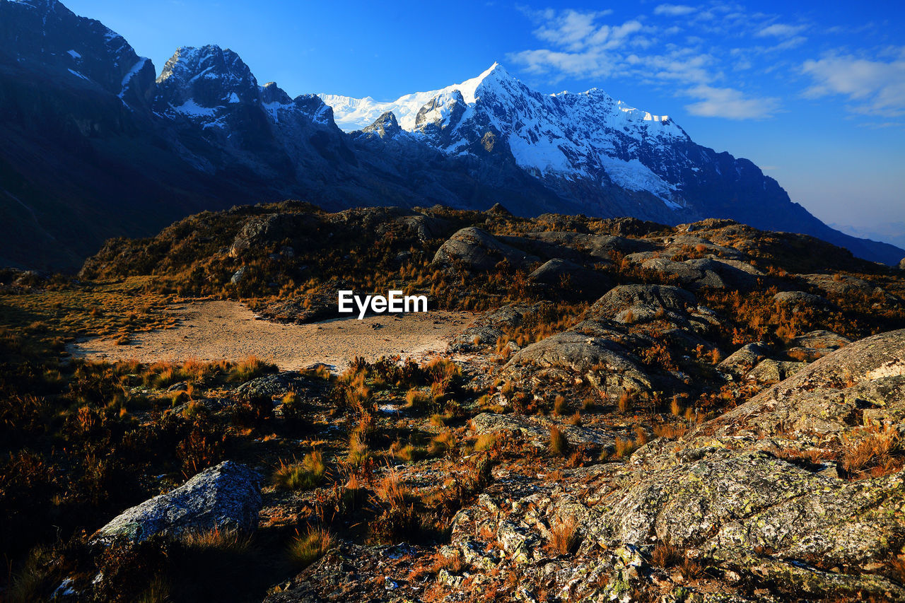 Dry grass on rocks by snowcapped mountain peak