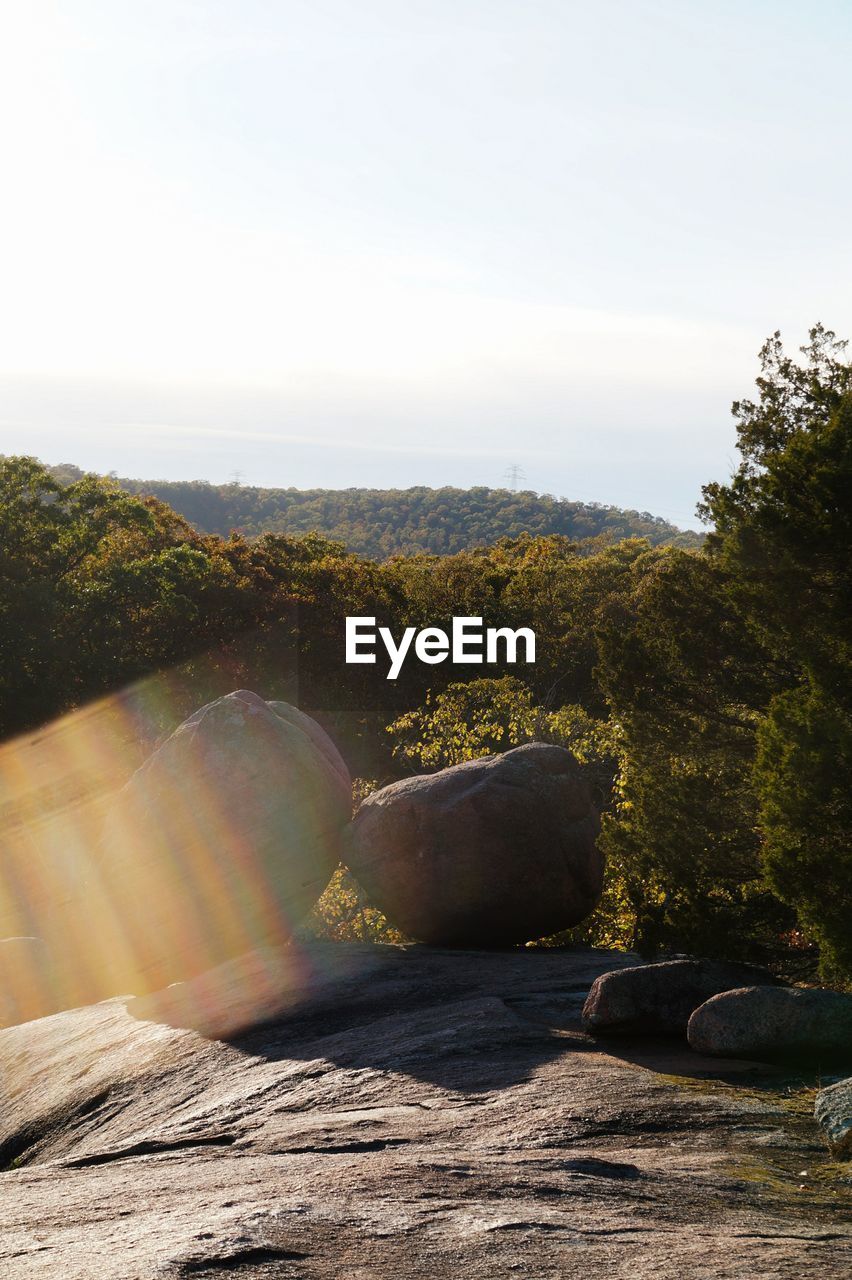 TREES BY ROCKS AGAINST SKY