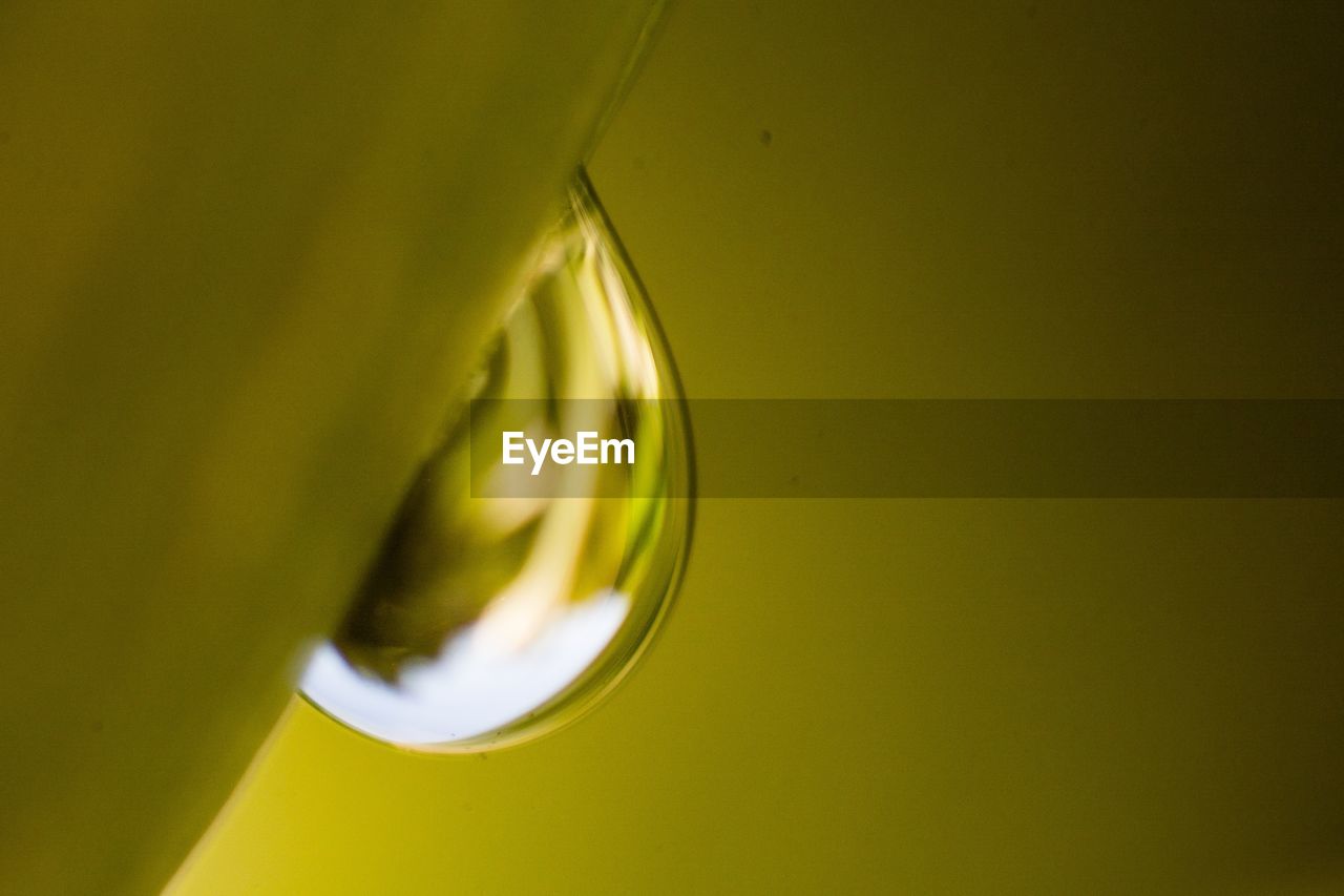 CLOSE-UP OF DROP ON GREEN LEAF