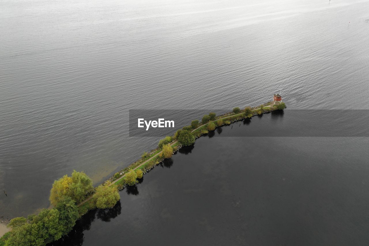 High angle view of plant by sea