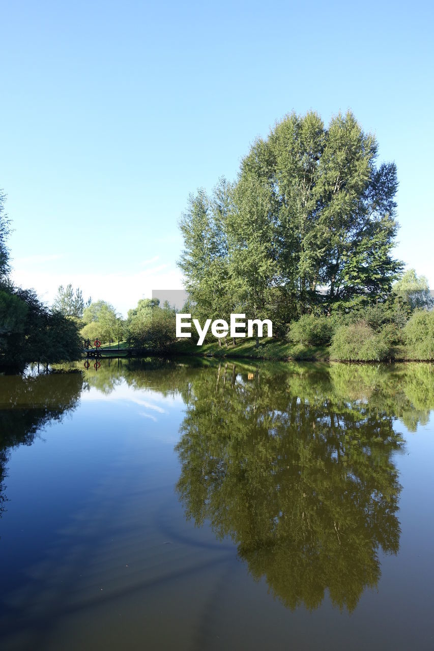 Reflection of trees in calm lake