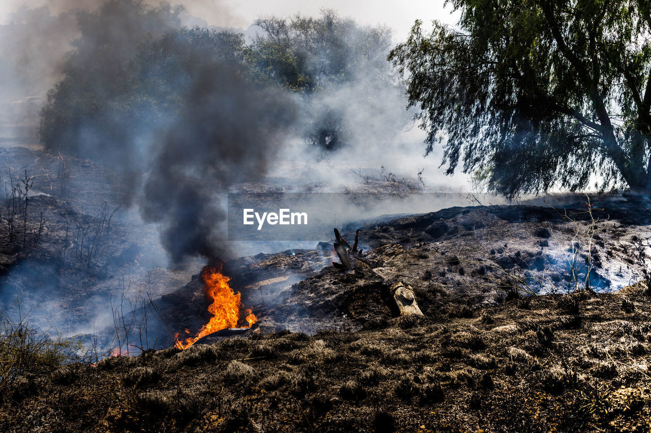 PANORAMIC SHOT OF BONFIRE ON LAND