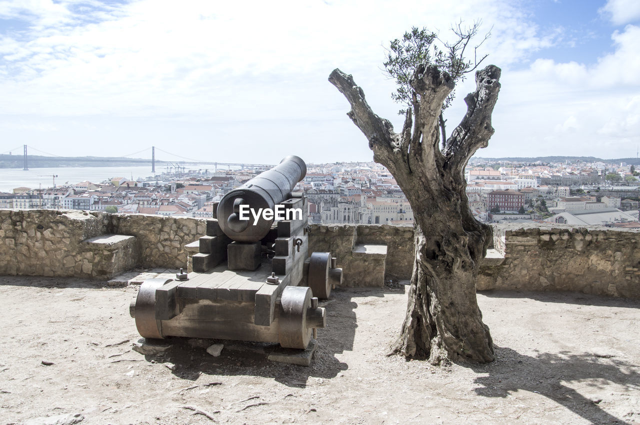 View of tree and cannon against sky