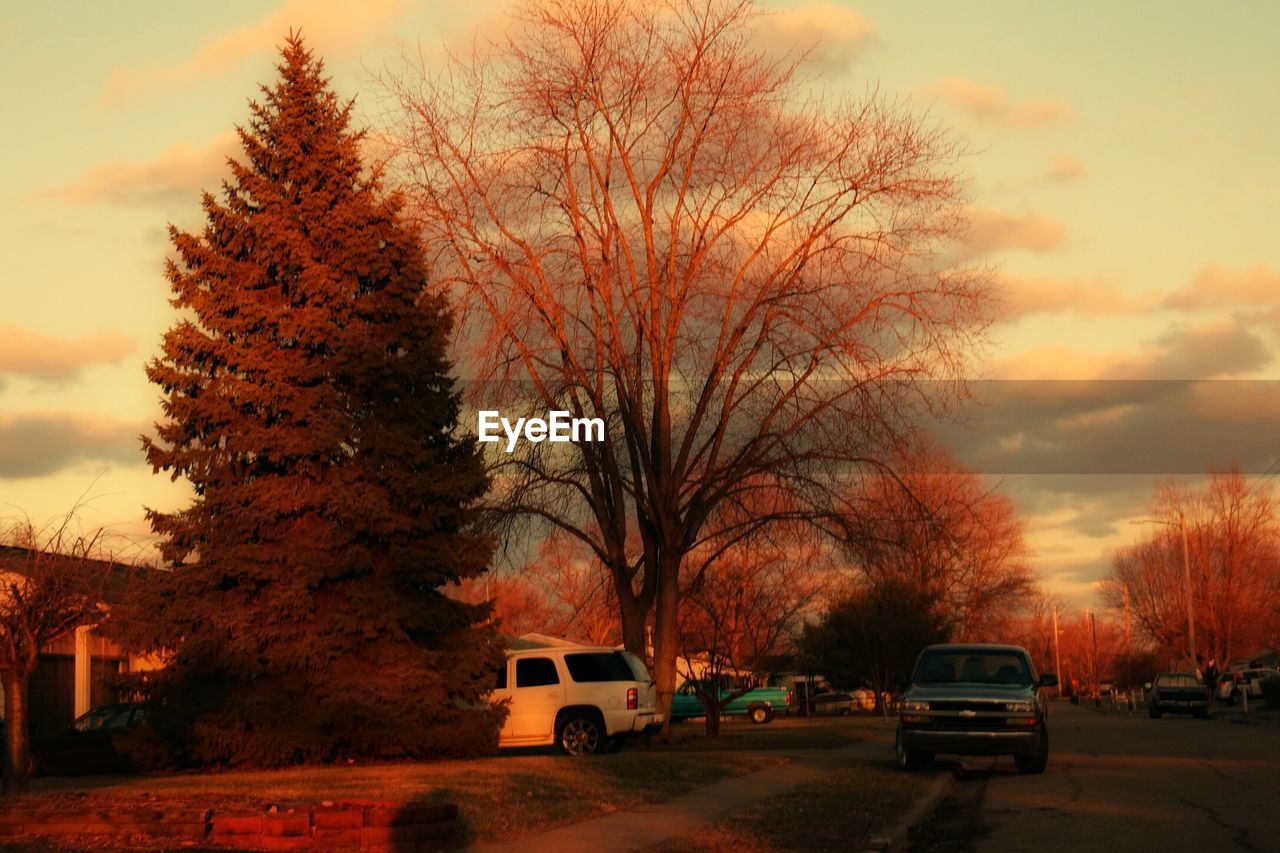 CARS ON ROAD AT SUNSET