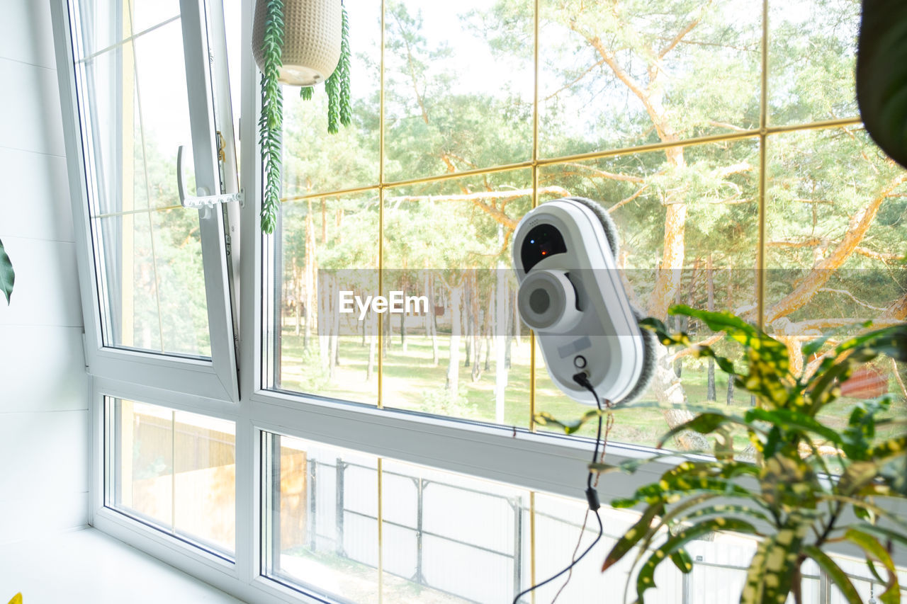window, indoors, plant, nature, day, home, interior design, technology, no people, home interior, room, tree, lighting, architecture, sunlight
