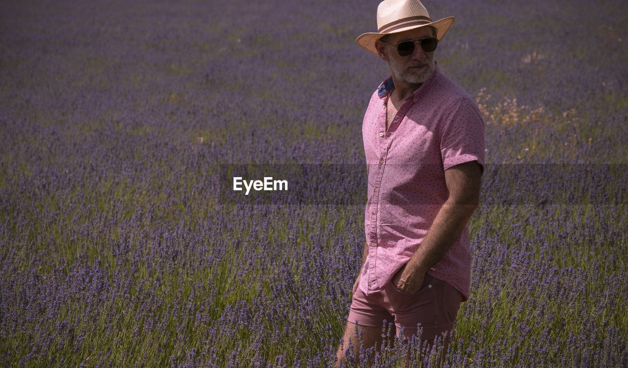 Adult man in hat on lavender fields. brihuega, spain