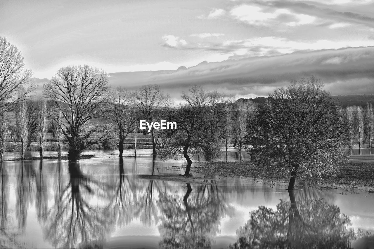 Reflection of trees in lake against sky