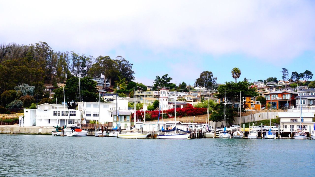 Boats moored at harbor against sky