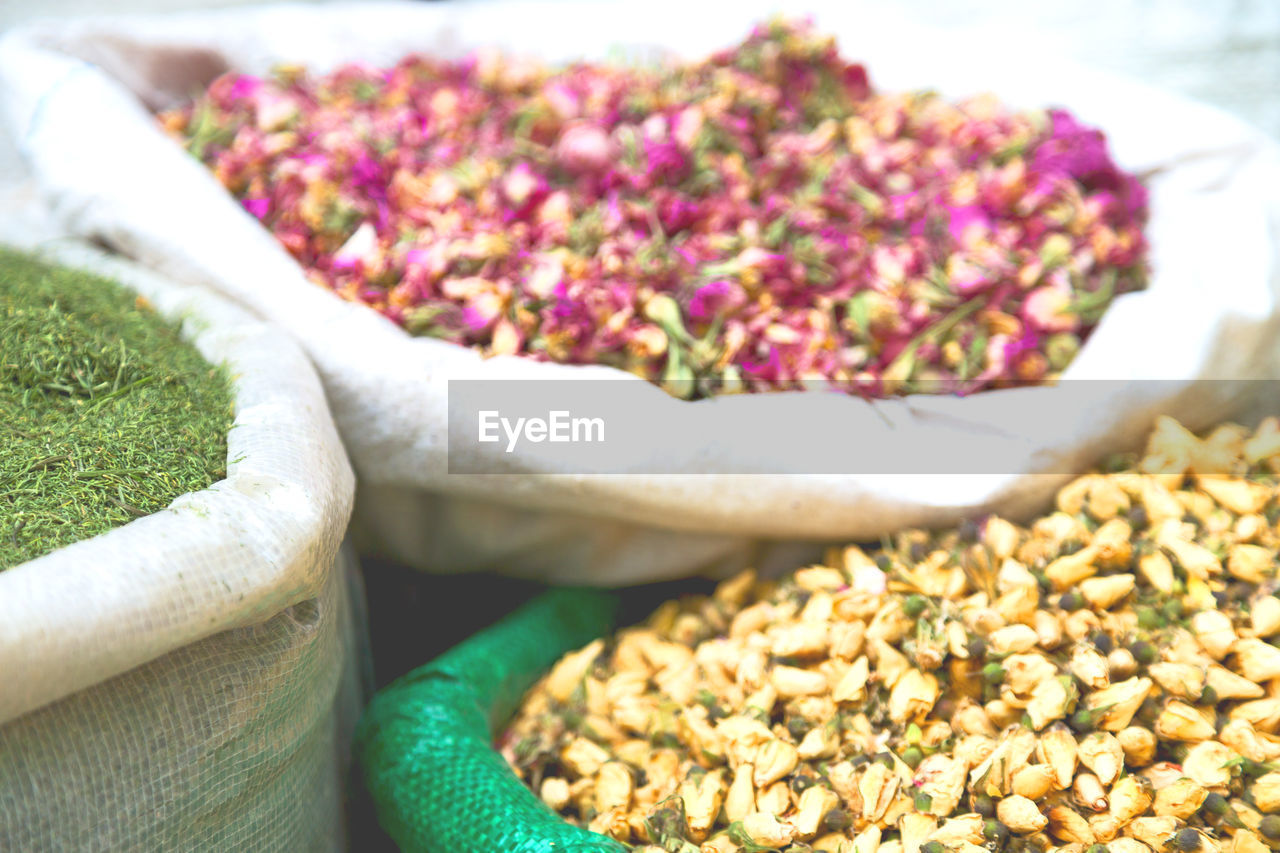 HIGH ANGLE VIEW OF PURPLE FLOWERING PLANT IN CONTAINER