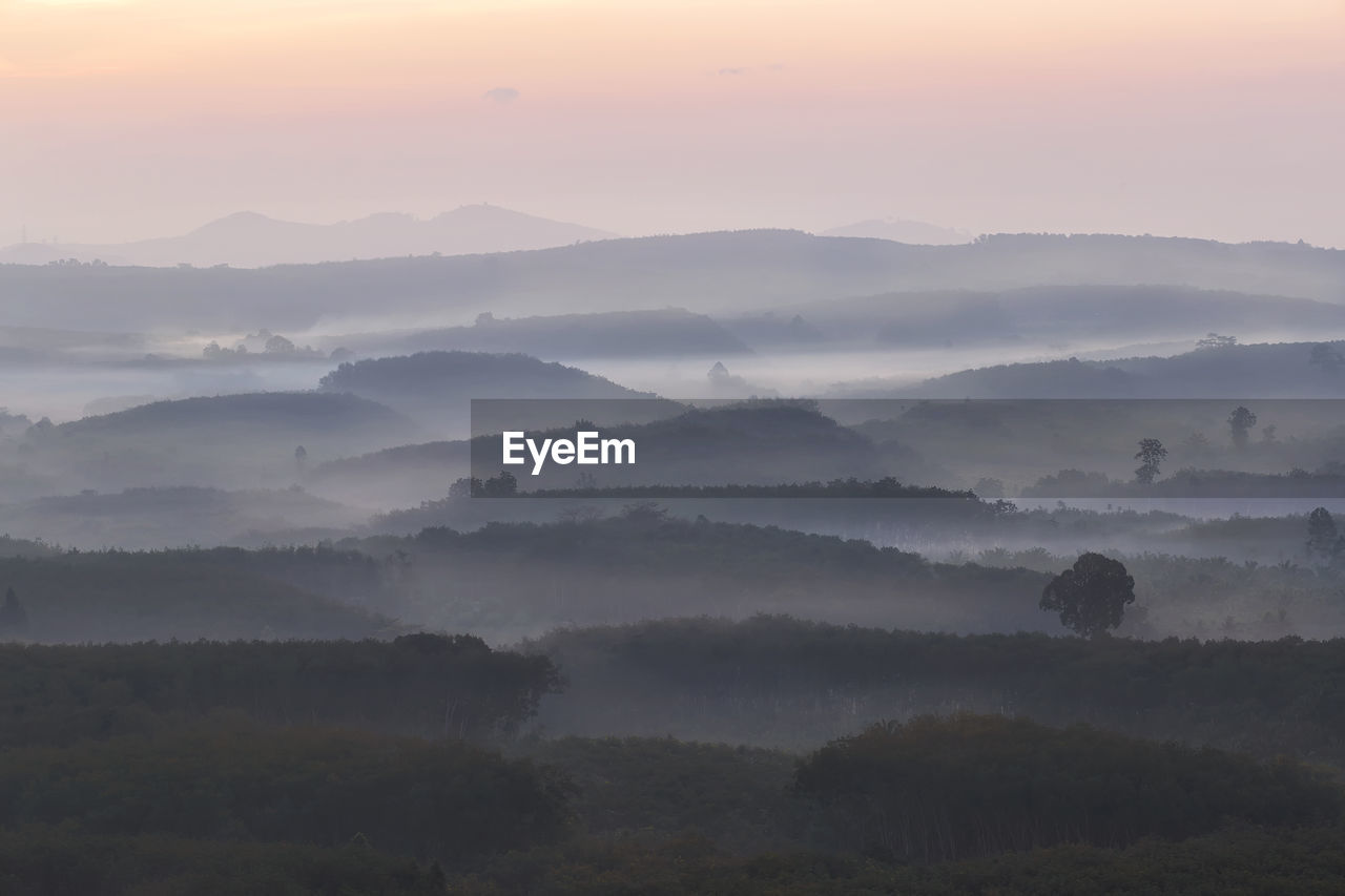 VIEW OF TREES ON LANDSCAPE AGAINST SKY