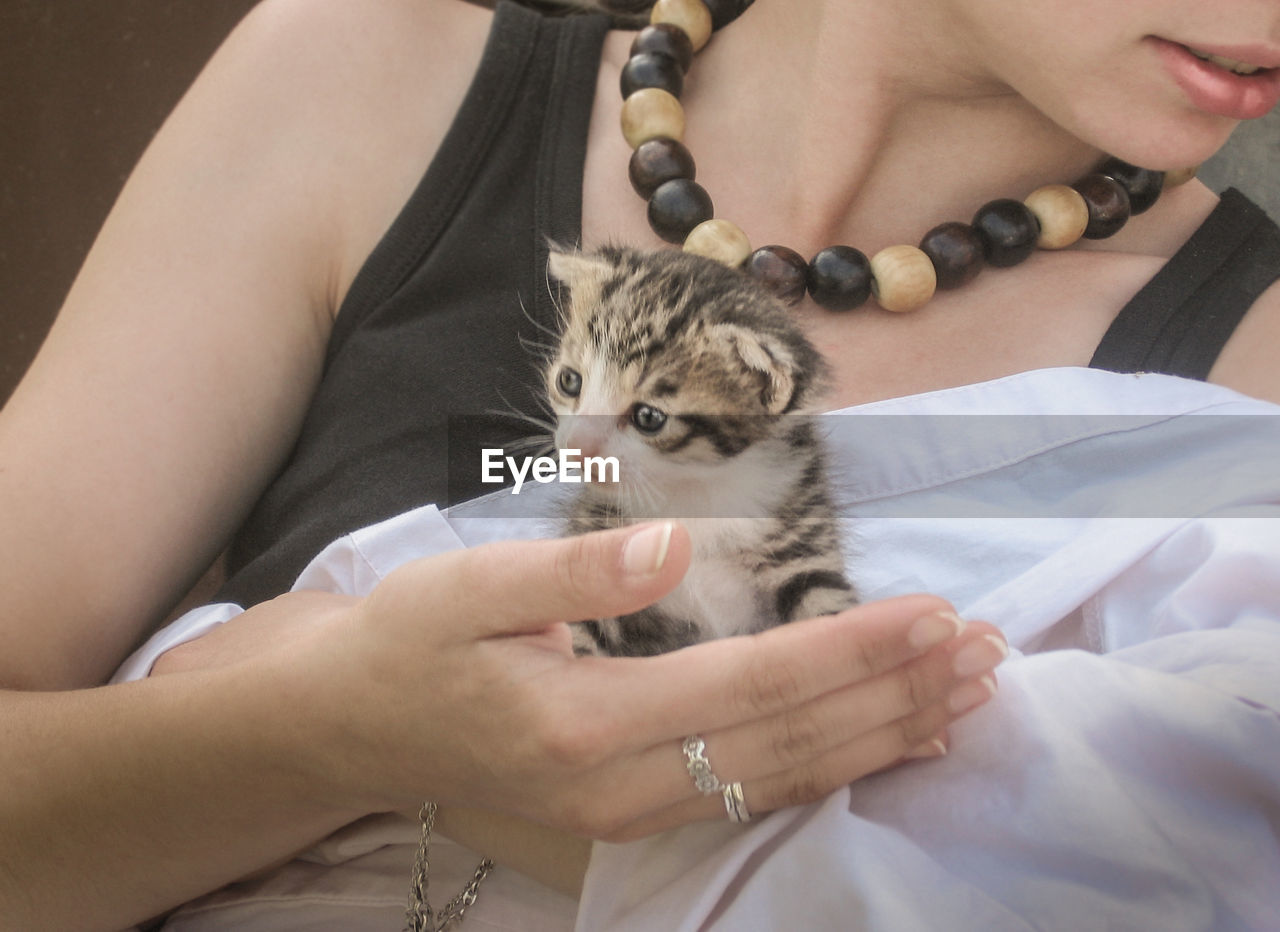 Cropped image of woman holding kitten