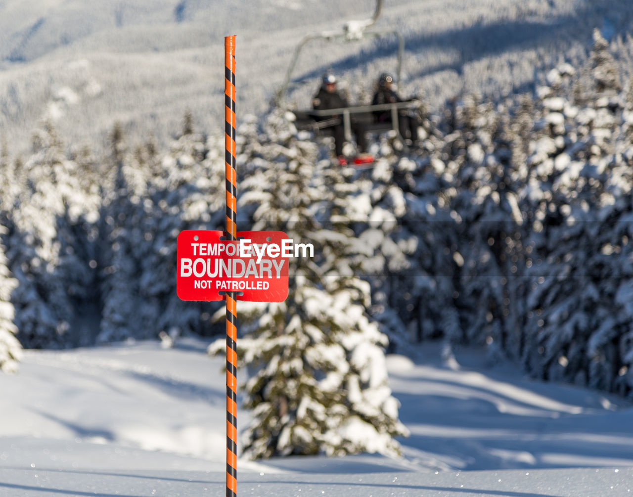 WARNING SIGN ON SNOW COVERED TREE