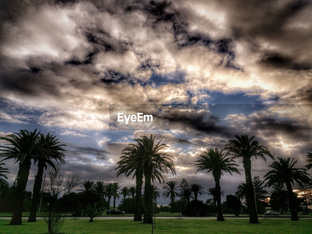 SCENIC VIEW OF TREES ON LANDSCAPE AGAINST CLOUDY SKY