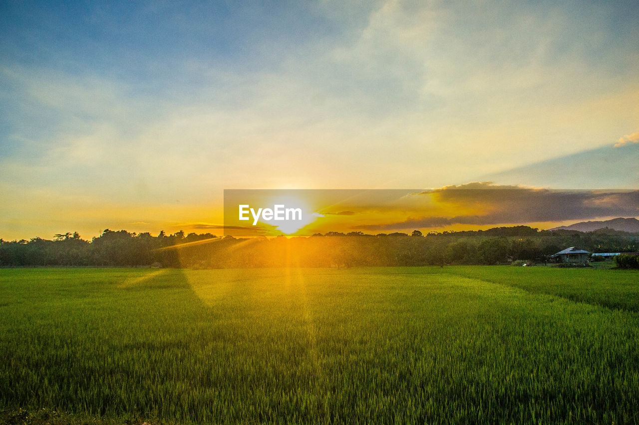 Scenic view of field against sky during sunset